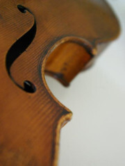 Beller Julia Violine, Viola